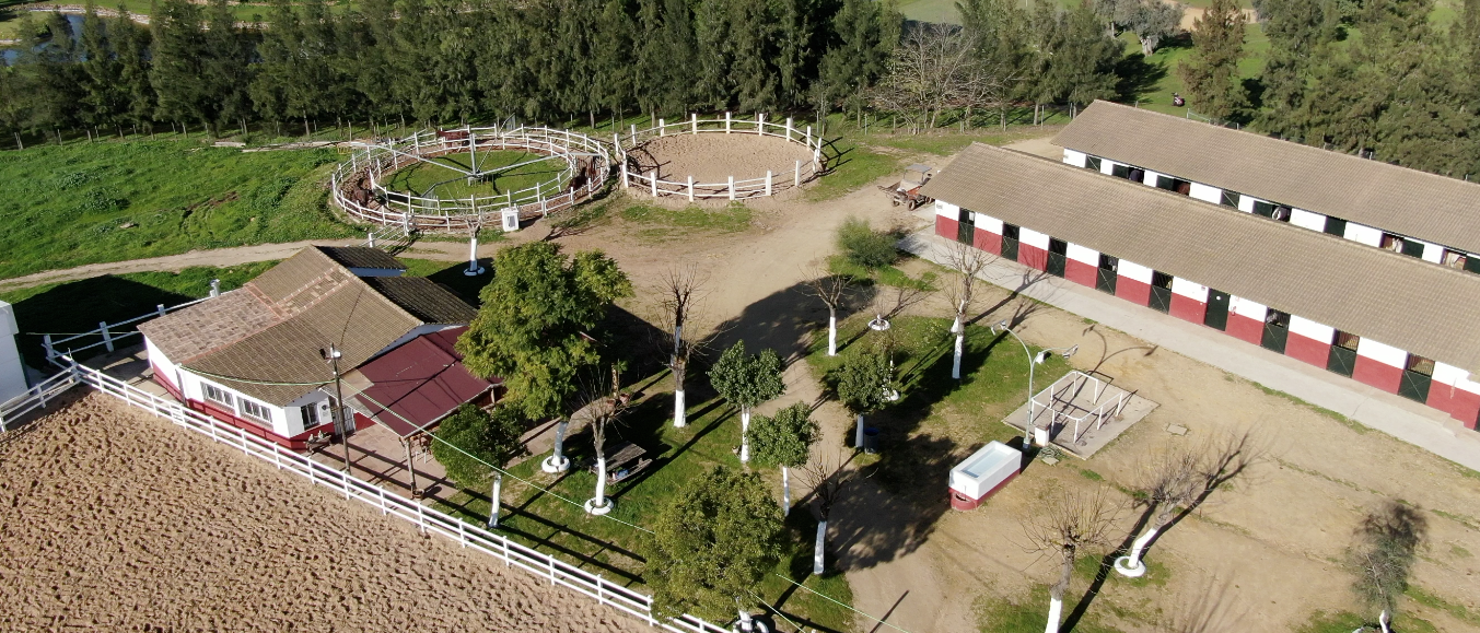 instalaciones-hipicalasminas-aznalcazar-donana-paseos-a-caballo-15